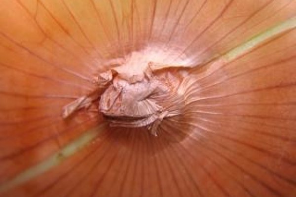 Активная ссылка кракен kraken ssylka onion